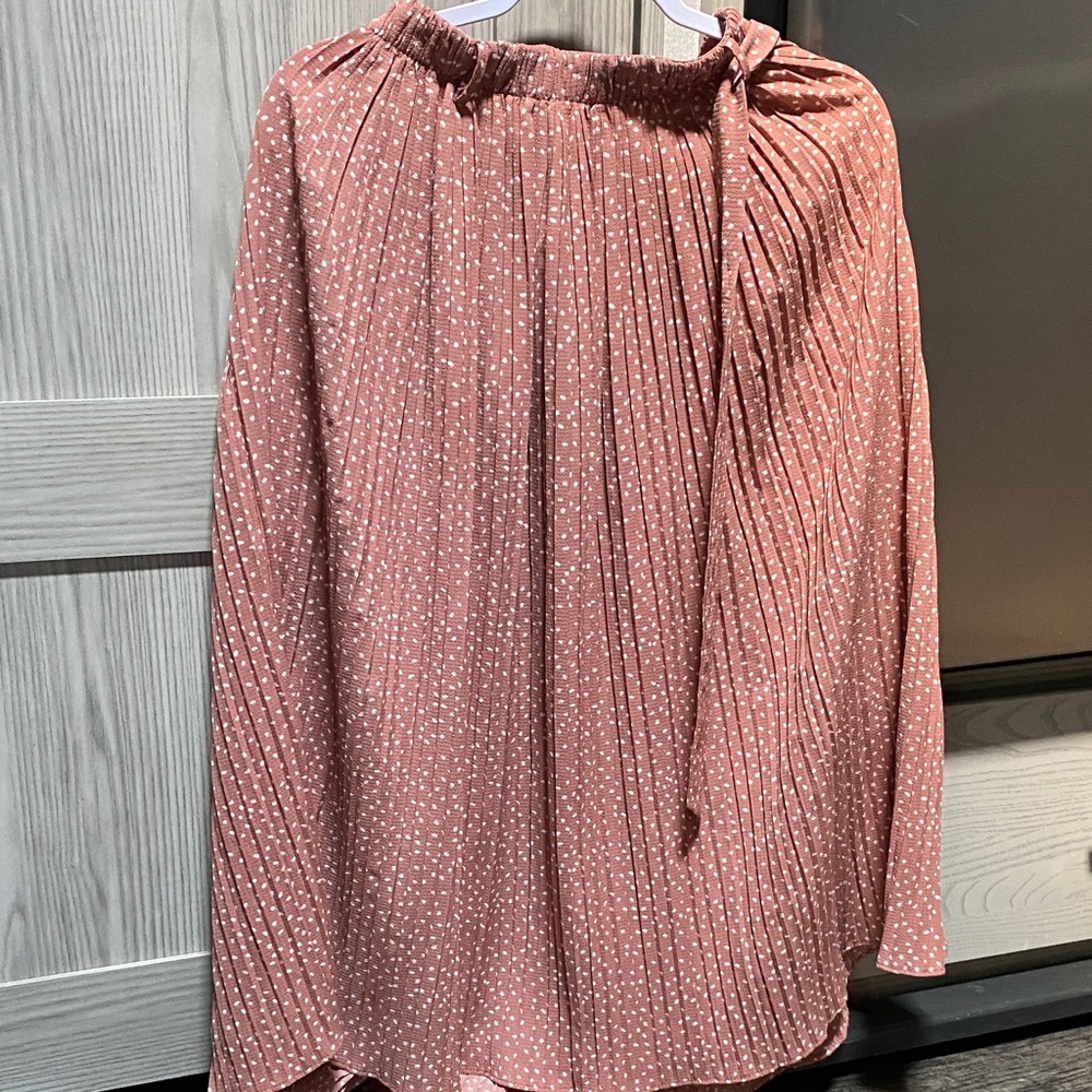 Alice Blue Blush Pleated Top with Dots